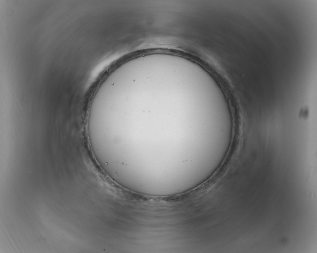 X0000111131312200906301056