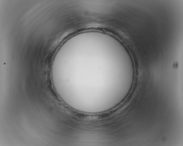 X0000111131313200906301056