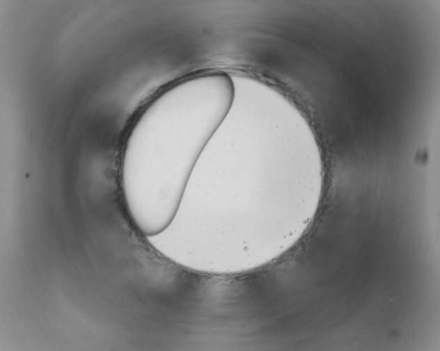 X0000111131314200906301056