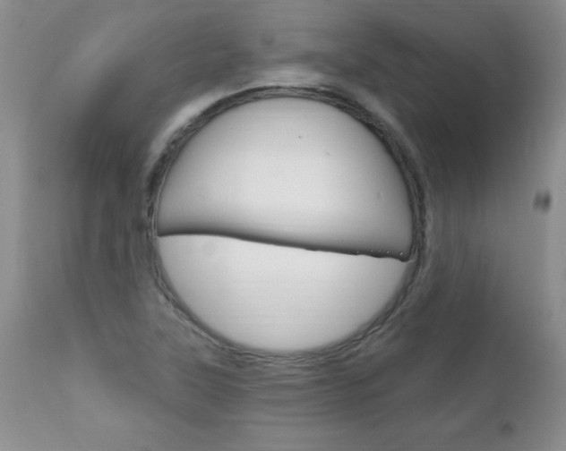 X0000111131315200906301056