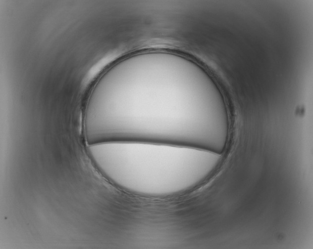X0000111131317200906301056