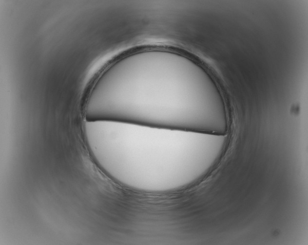 X0000111131319200906301056