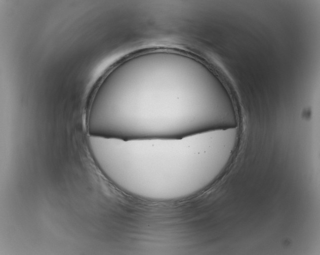 X0000111131320200906301056