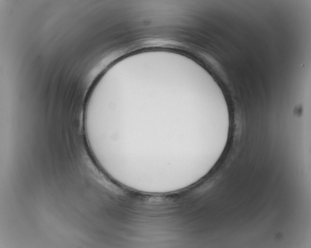 X0000111131322200906301056