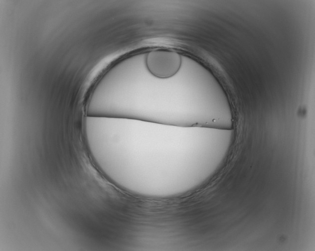 X0000111131323200906301056