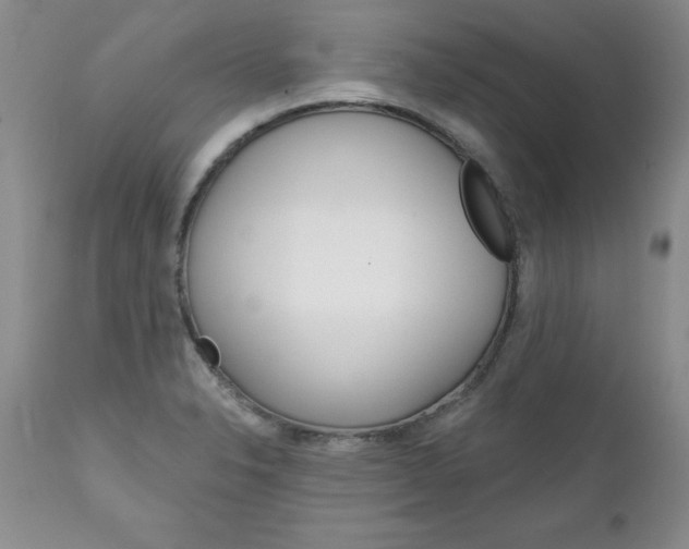 X0000111131326200906301056