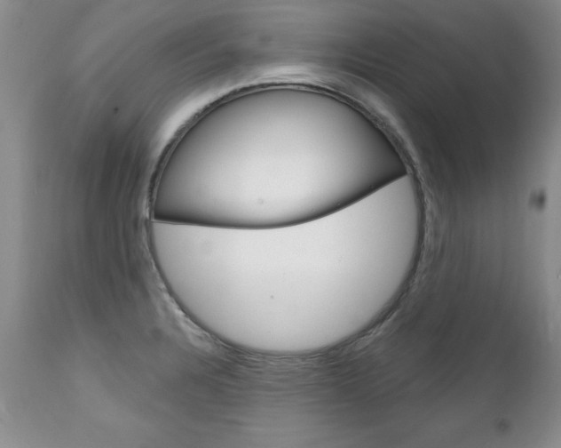 X0000111131328200906301056