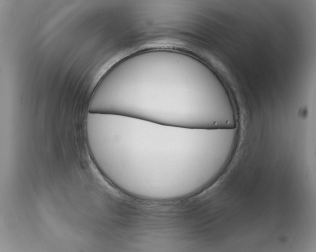 X0000111131329200906301056