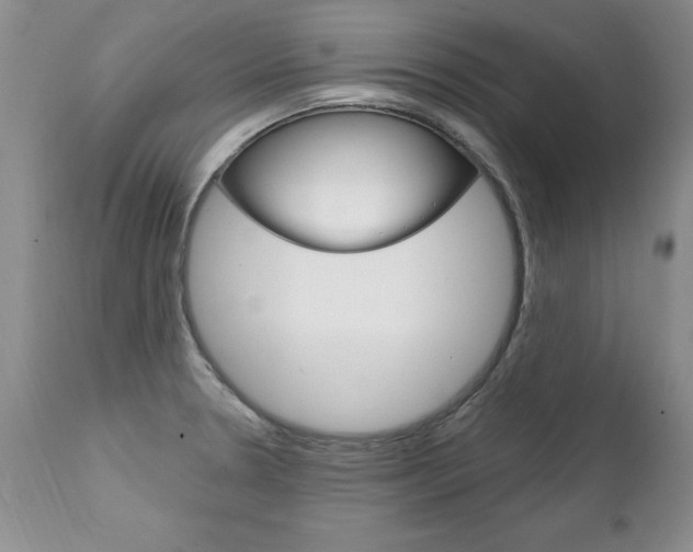 X0000111131330200906301056