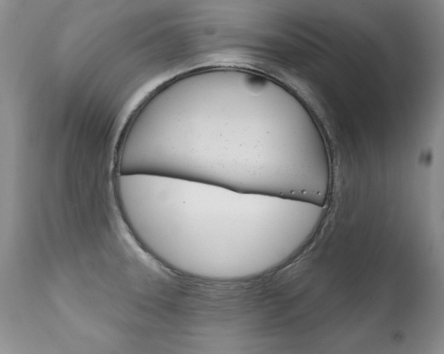 X0000111131331200906301056