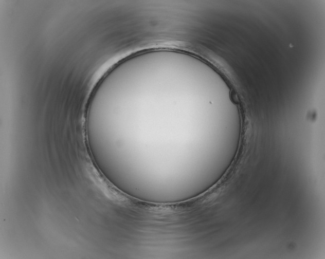 X0000111131332200906301056