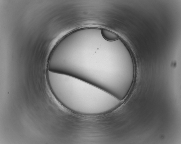 X0000111131333200906301056