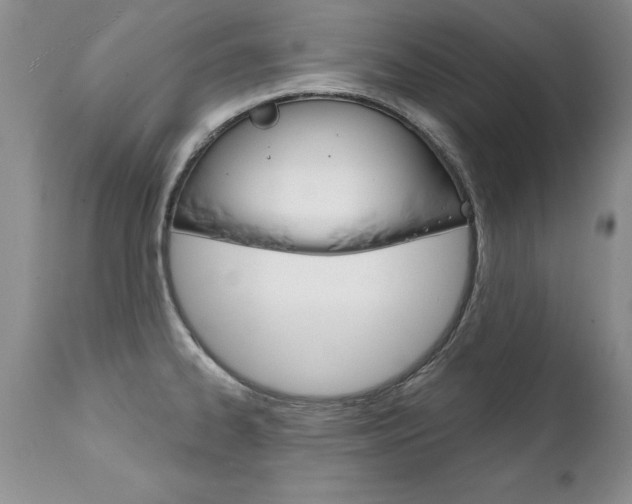 X0000111131334200906301056