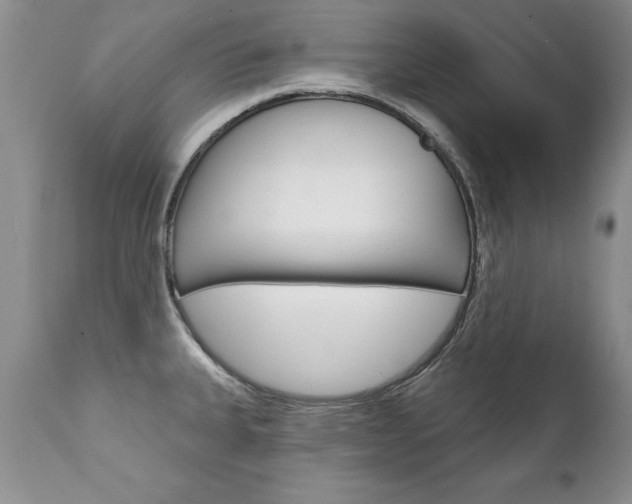 X0000111131335200906301056