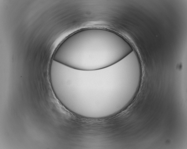 X0000111131336200906301056