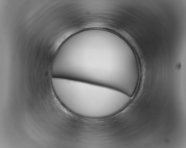 X0000111131337200906301056