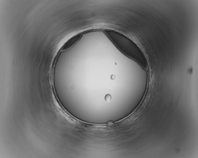 X0000111131342200906301056
