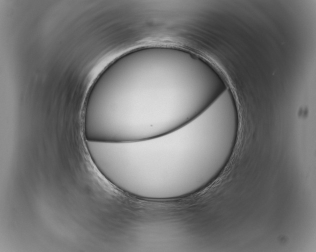 X0000111131344200906301056