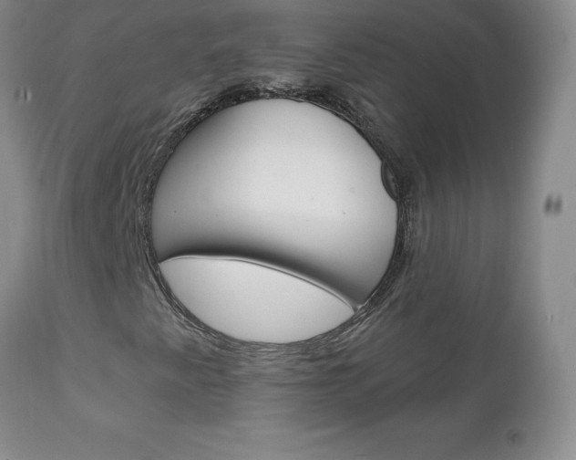 X0000111131345200906301055