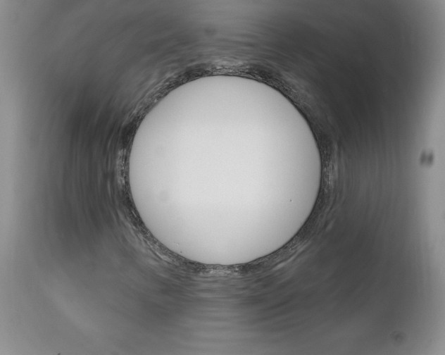 X0000111131346200906301055
