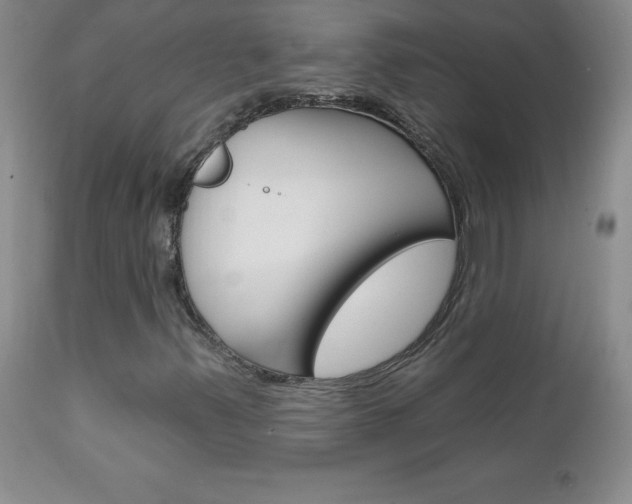 X0000111131347200906301055