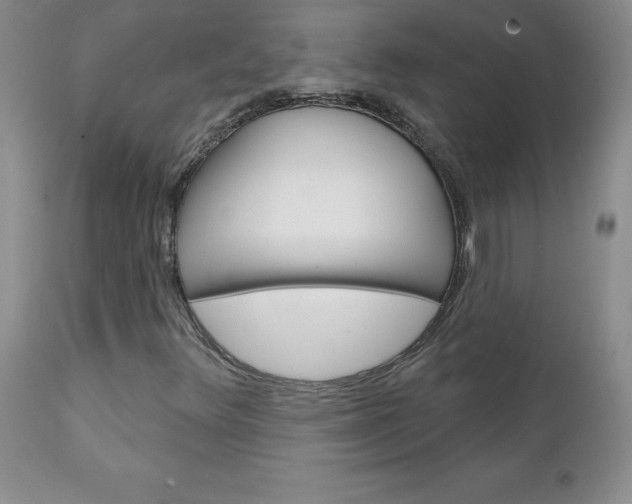 X0000111131348200906301055