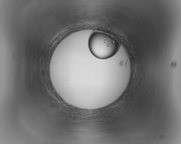 X0000111131349200906301055