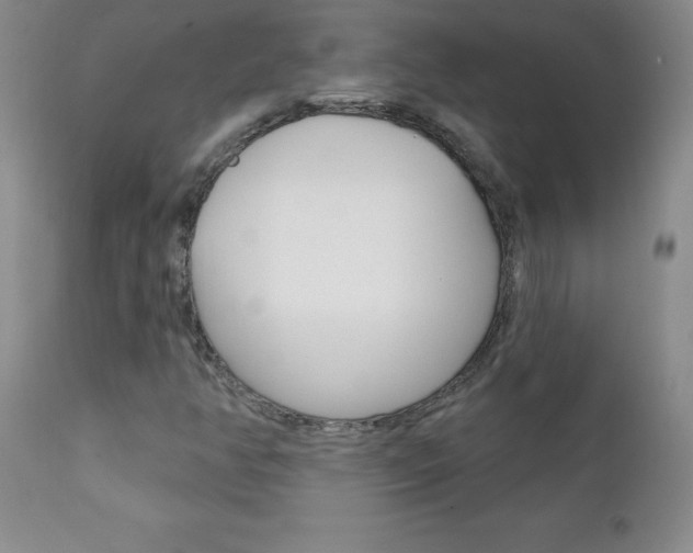X0000111131350200906301055