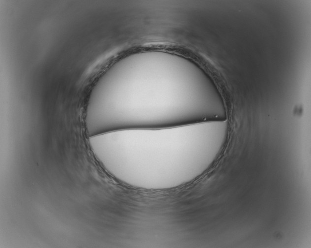 X0000111131351200906301055