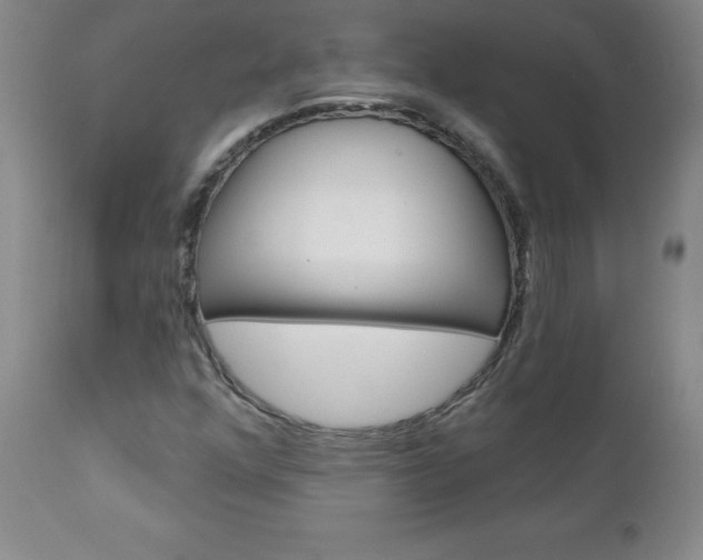 X0000111131352200906301055
