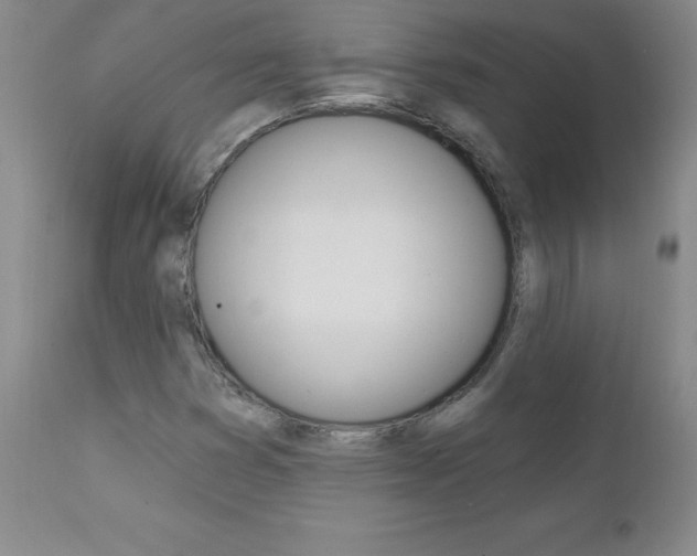 X0000111131353200906301055