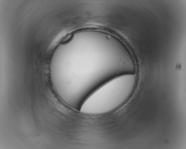 X0000111131355200906301055