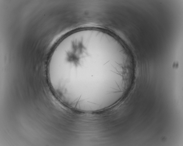 X0000111131356200906301055