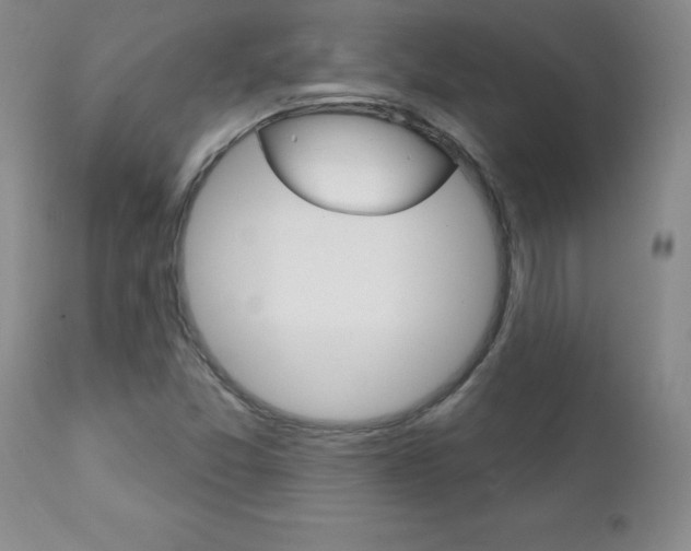 X0000111131357200906301055
