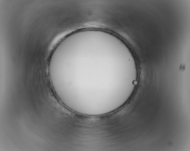 X0000111131358200906301055