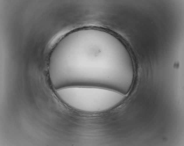 X0000111131359200906301055