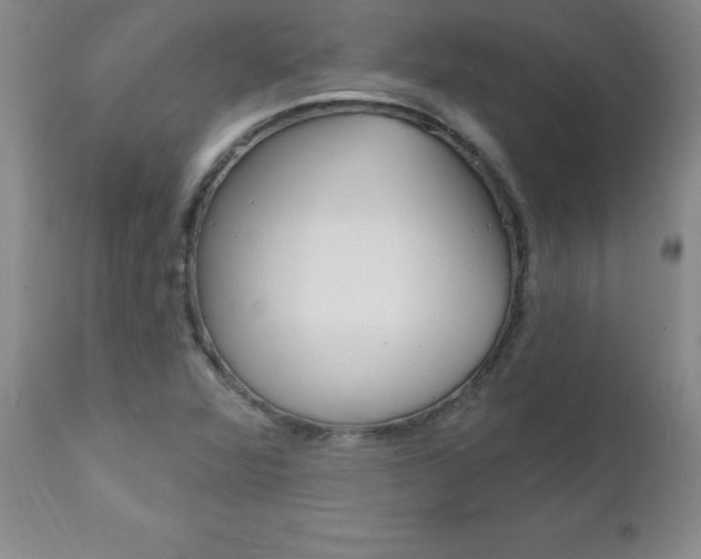 X0000111131360200906301055