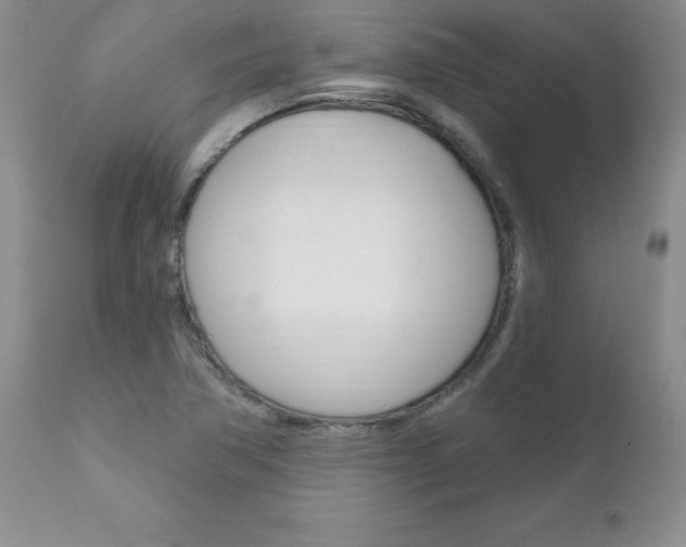 X0000111131362200906301055