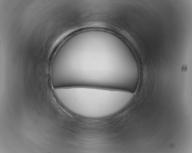 X0000111131364200906301055