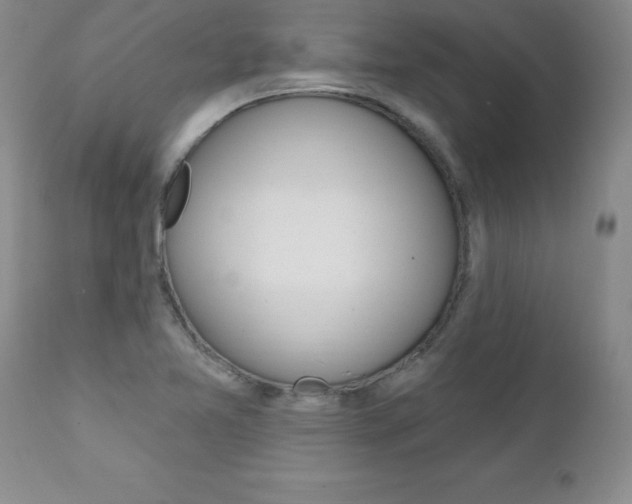 X0000111131365200906301055