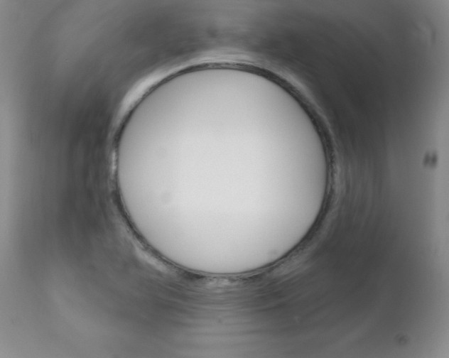 X0000111131366200906301055