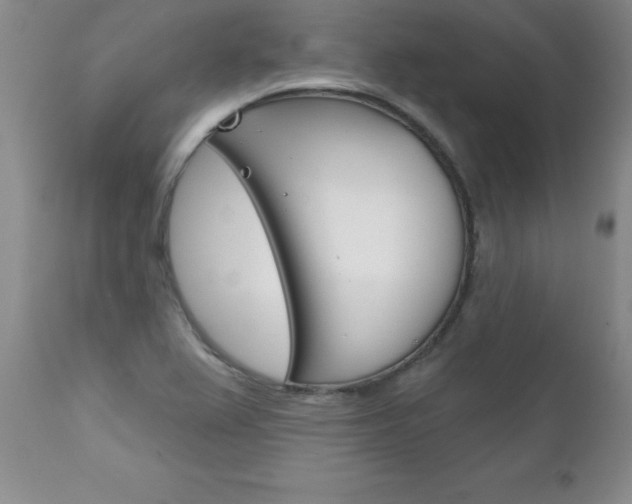 X0000111131367200906301055
