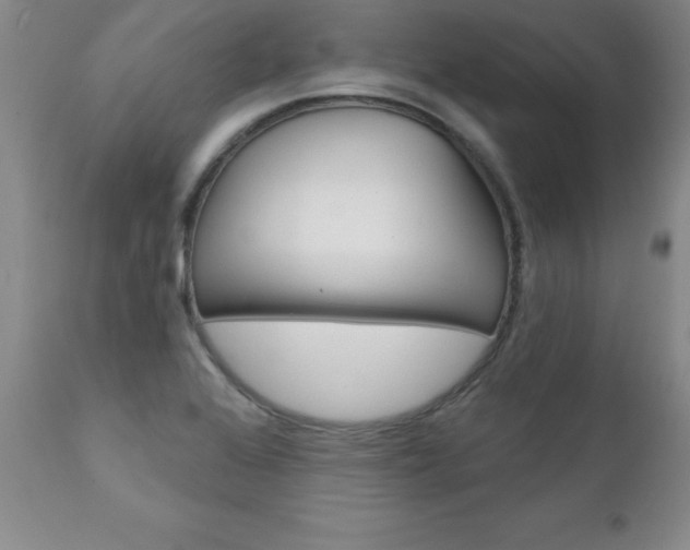 X0000111131368200906301055