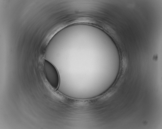 X0000111131369200906301055