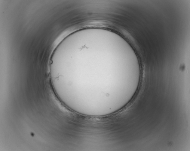 X0000111131370200906301055