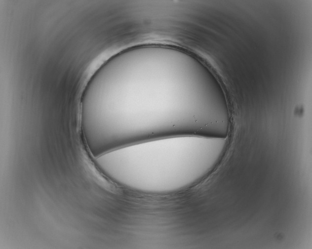 X0000111131371200906301055