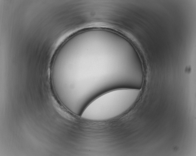 X0000111131372200906301055