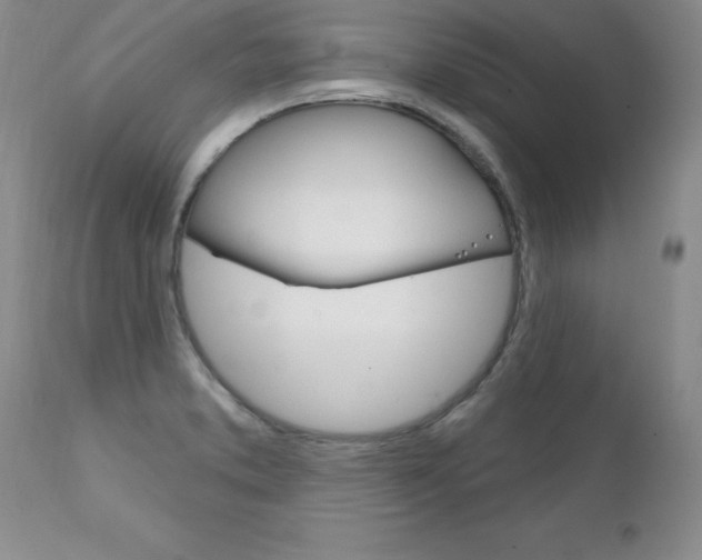 X0000111131373200906301055