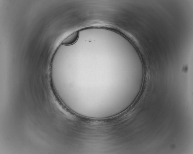 X0000111131375200906301055