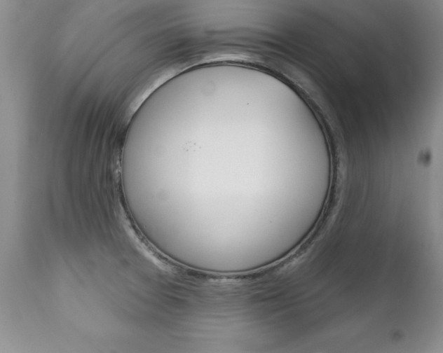 X0000111131377200906301055